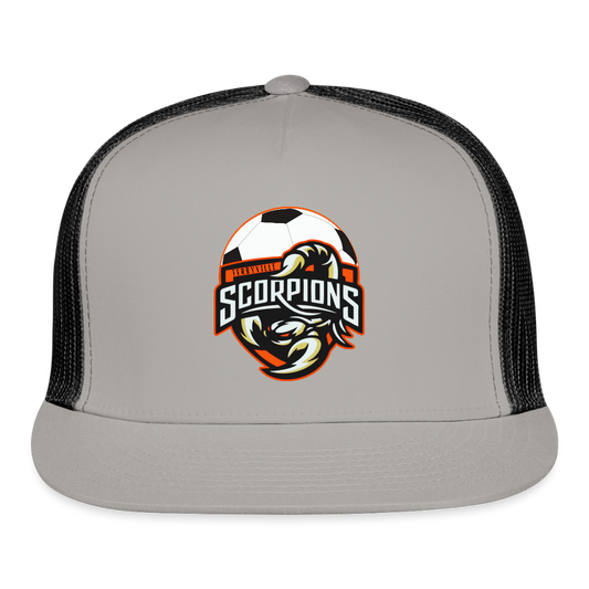 Trucker Hat - gray/black