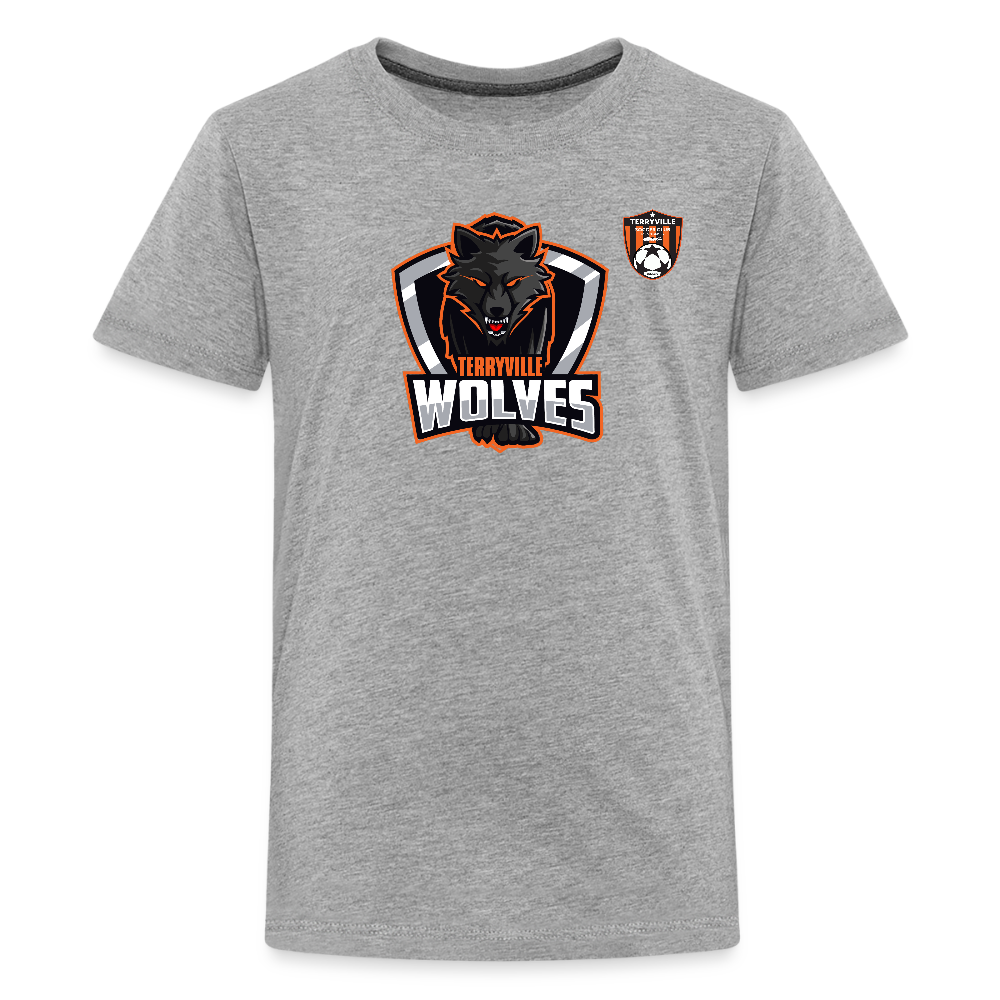 Kids' Premium T-Shirt - heather gray