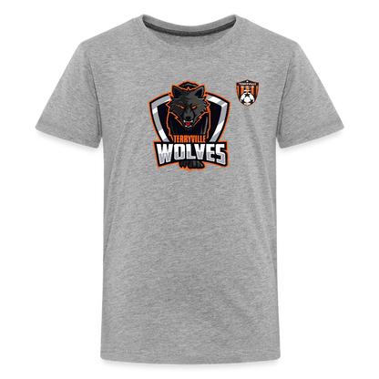 Kids' Premium T-Shirt - heather gray