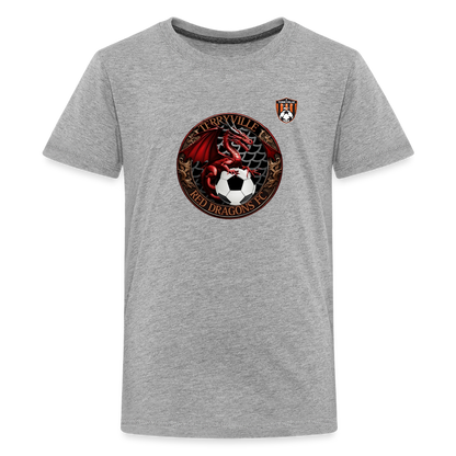 Kids' Premium T-Shirt - heather gray