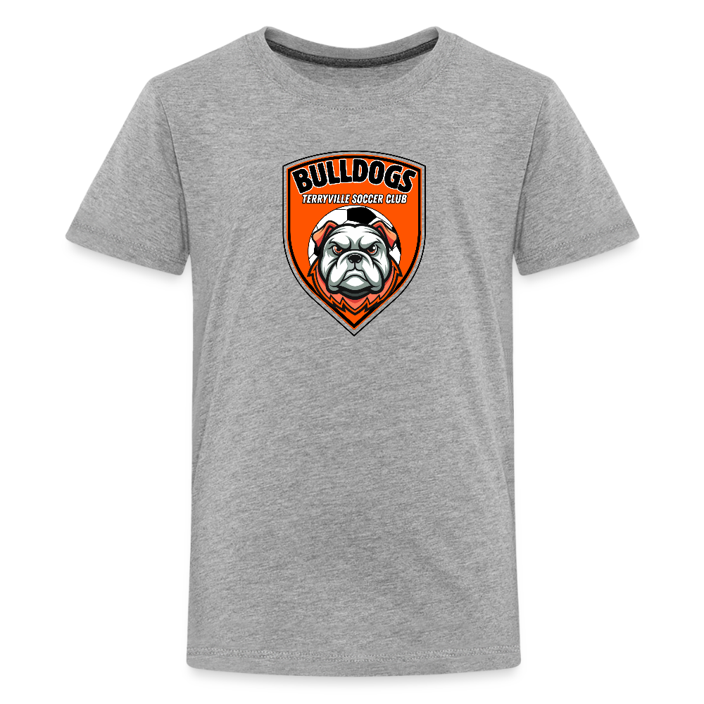 Kids' Premium T-Shirt - heather gray