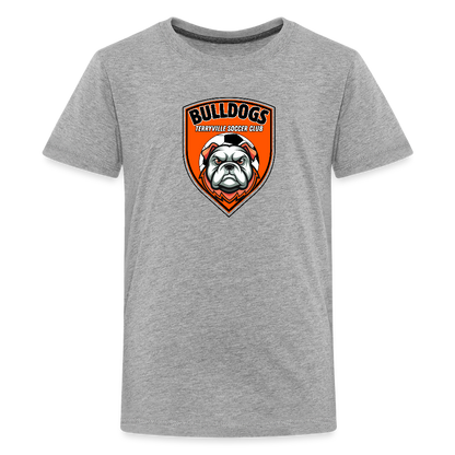 Kids' Premium T-Shirt - heather gray