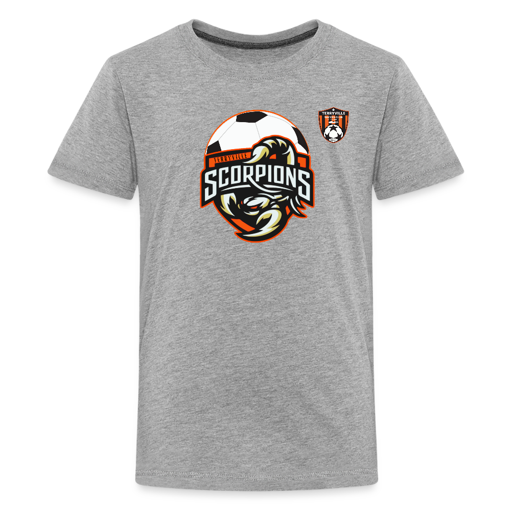 Kids' Premium T-Shirt - heather gray