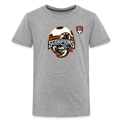 Kids' Premium T-Shirt - heather gray