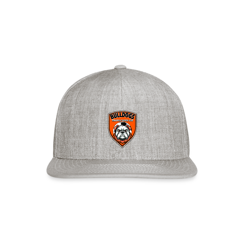 Snapback Baseball Cap - heather gray