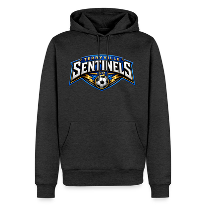 Premium Hoodie - heather anthracite