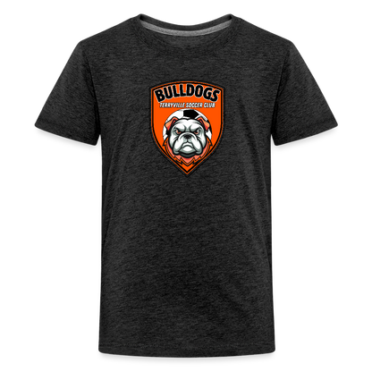 Kids' Premium T-Shirt - charcoal grey