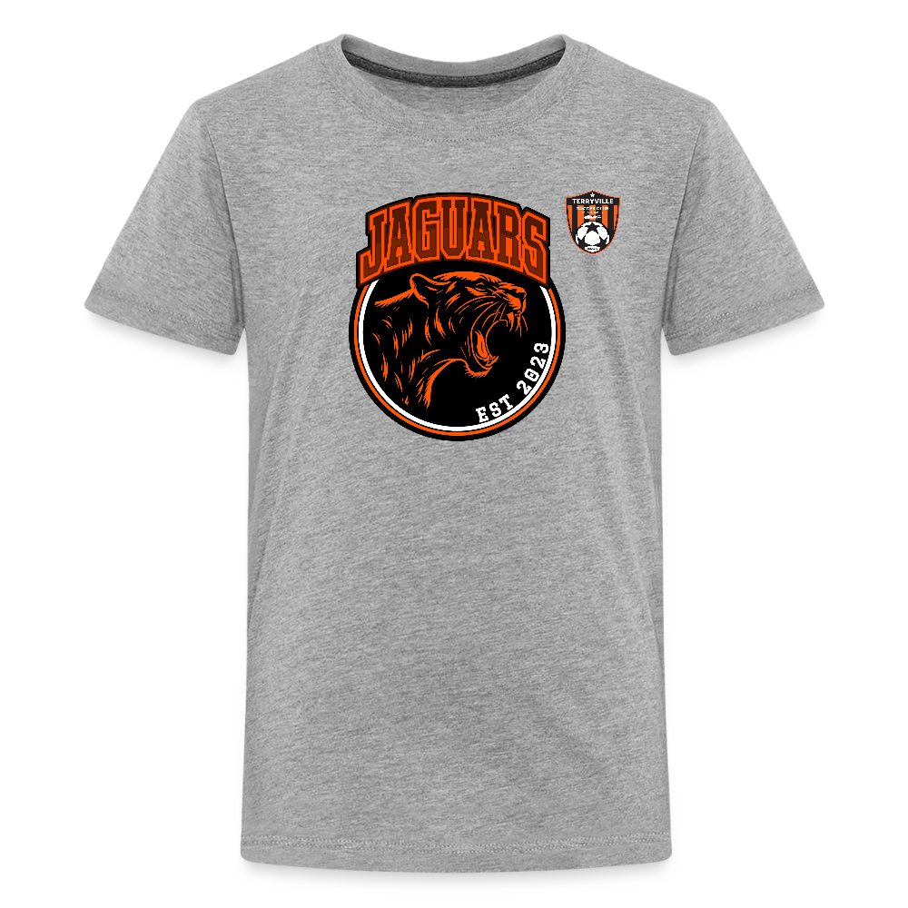 Kids' Premium T-Shirt - heather gray