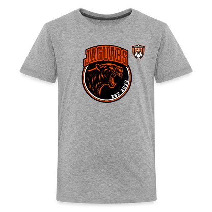 Kids' Premium T-Shirt - heather gray